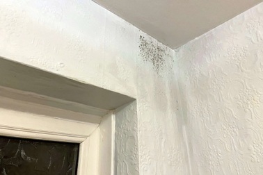 1909ngam tuong sau bao yagi thumbnail crop 1726730761887