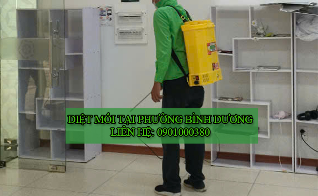Dịch vụ diệt mối tại Phường Bình Dương chuyên nghiệp.