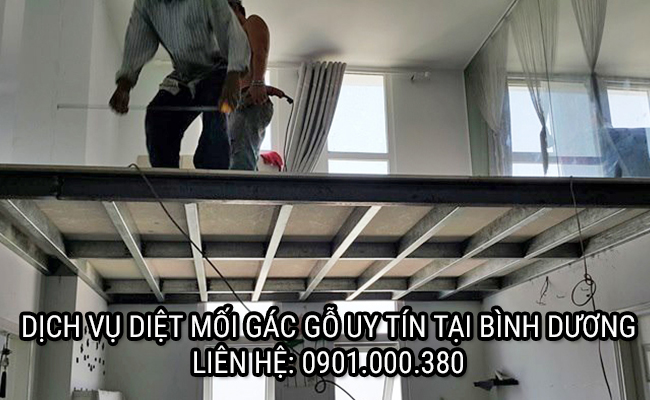 dich vu diet moi gac go tai binh duong