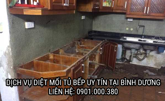 dich vu diet moi tai binh duong