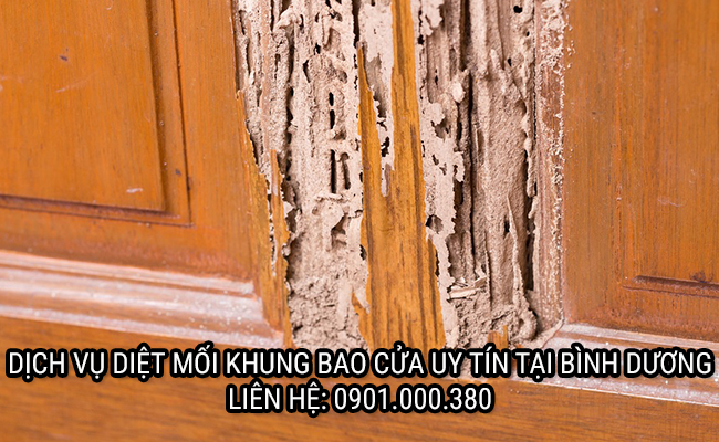 diet moi khung bao cua tai binh duong